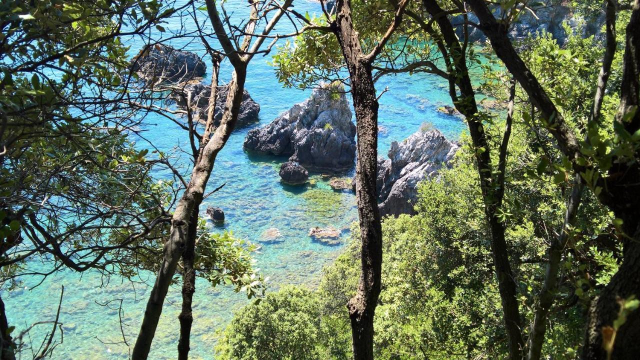 Hotel Cala Del Citro Маратея Экстерьер фото
